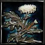 Chrysanthemum Two